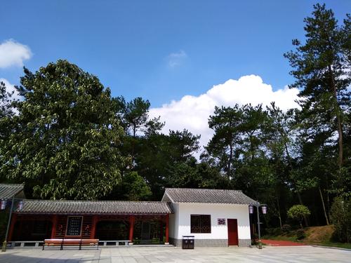 美丽的梅子山公园