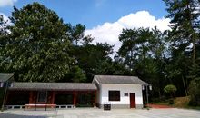 美丽的梅子山公园