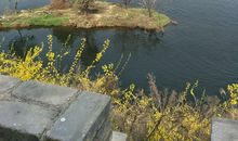 成长道路最好的伴侣