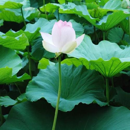 昏暗的时间，感动的时间_1500字