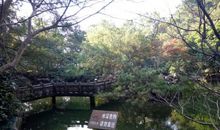 九峰公园暑假实践活动