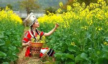 大鹏美丽乡村一日游