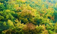 留在心底里的印象