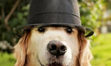 那个温暖的瞬间