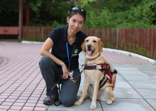 我是导盲犬