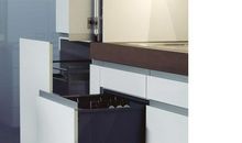 洛卡的一年续写