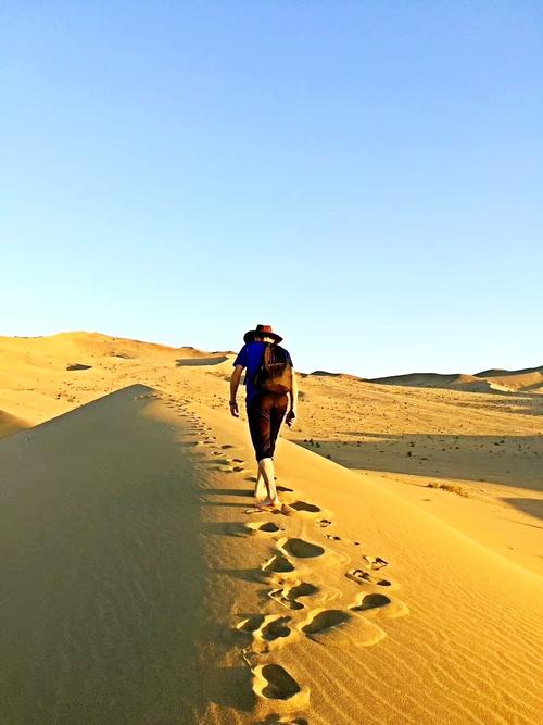 精彩的沙漠之旅