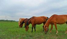 近在咫尺的自由