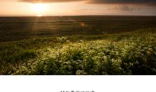 关于青海的记忆