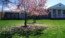 梦想着成为一棵树