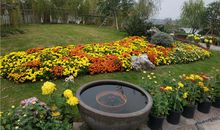 秋游宁波植物园