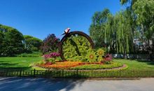 我爱美丽的花坛