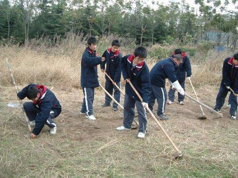 学习和耕种经验