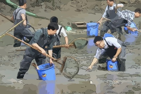 在鱼塘里抓鱼