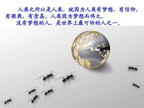 理想不是梦