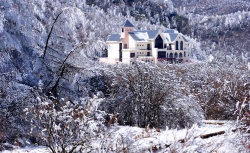 美好的冬天下雪