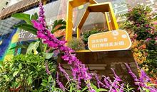 不错过这一年的春天