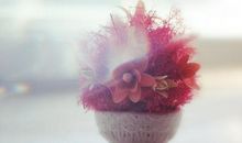 不止一次，我尝试努力