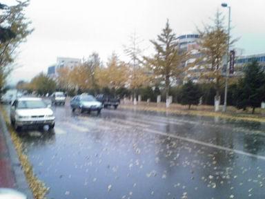 春天的第一场雨