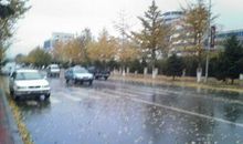 春天的第一场雨