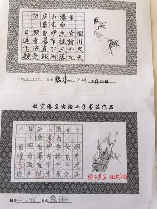小毛毛虫生长