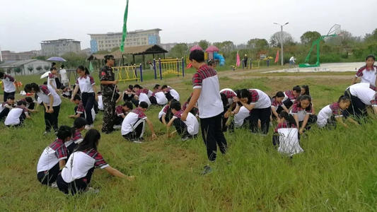 学习和农业经验活动