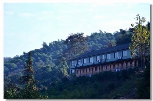 金家山