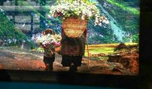 我的春天回来了