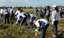 丰富多彩的学农活动