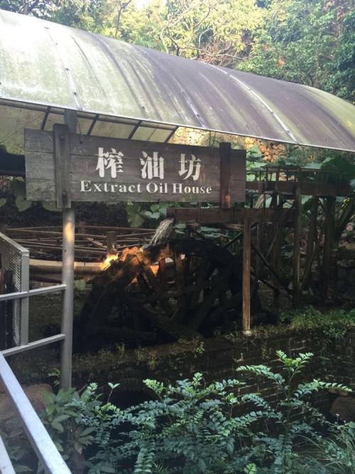 青青世界旅行社