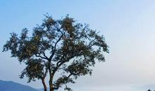 一方水土，一方人