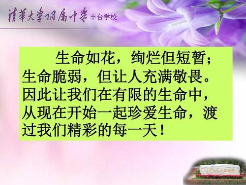 为什么生活会更加精彩