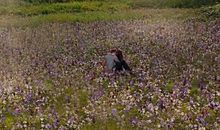 老姚的幸福生活