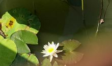 令我难忘的一瞬间