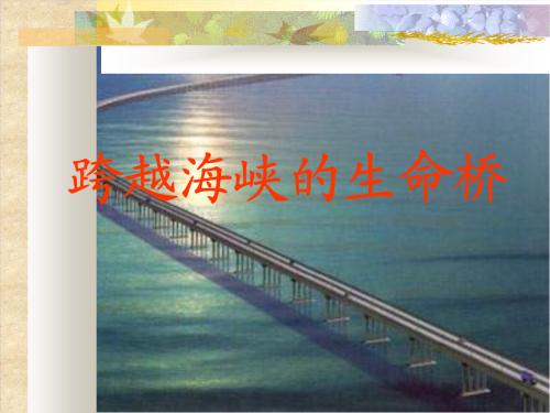 两岸的角膜