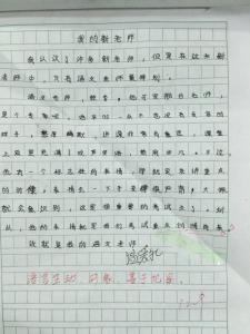 我的新老师组成
