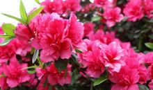 一次有益的尝试