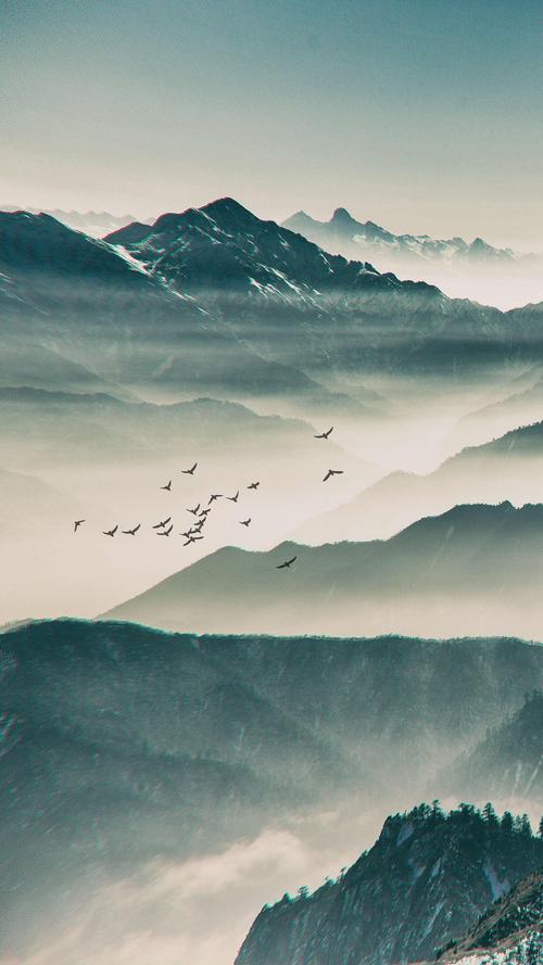 坐听雨