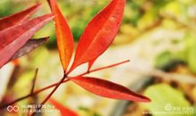 方寸之间的温暖