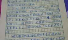 二十年后回家乡作文