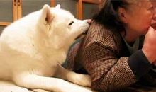 我骗奶奶吃桔子