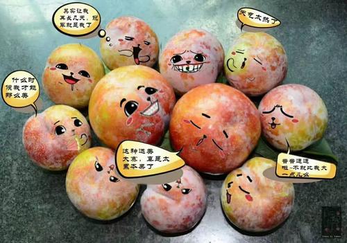 水果选美