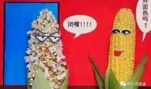 汗水浸润的日子