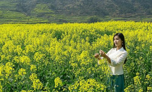 我喜欢家乡的油菜花