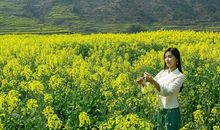 我爱故乡的油菜花