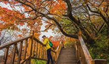 我有一个新发现