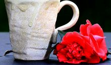 一个水杯中的爱