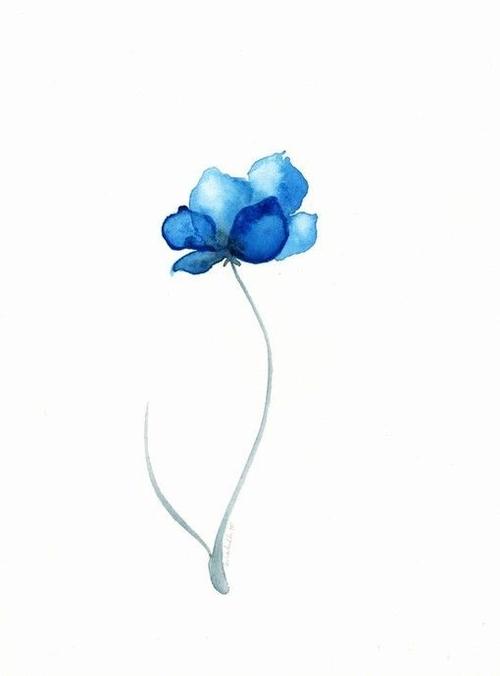 我是哪种花