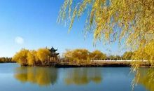 秋天的泉城公园