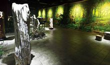 参观石头记矿园